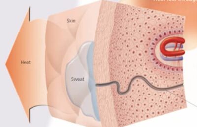 Understanding Menopause 5500 3