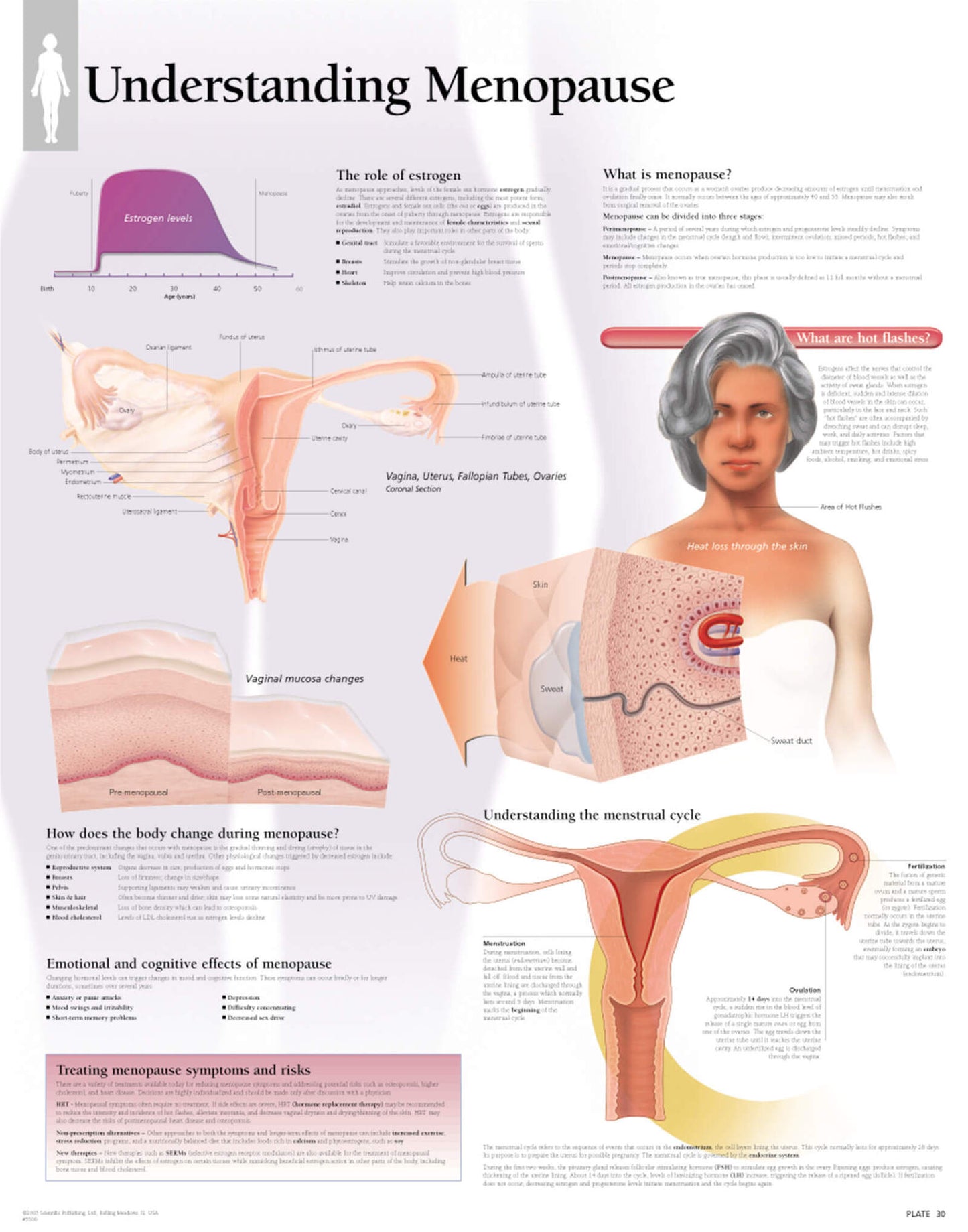Understanding Menopause 5500