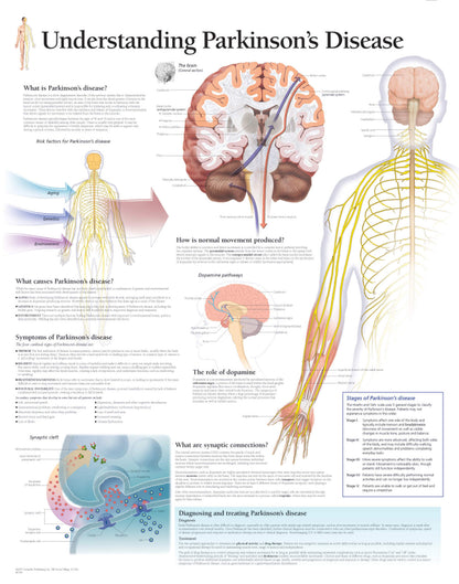 Understanding Parkinson’s Disease 2750