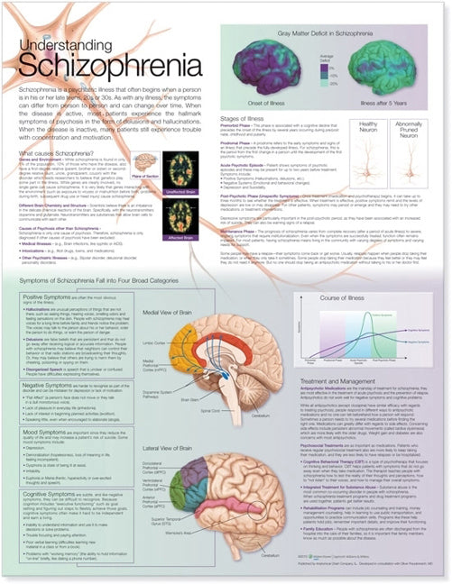 Understanding Schizophrenia Anatomical Chart 6423