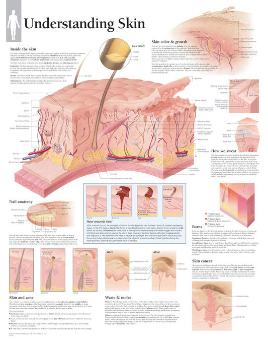 Understanding Skin 2500
