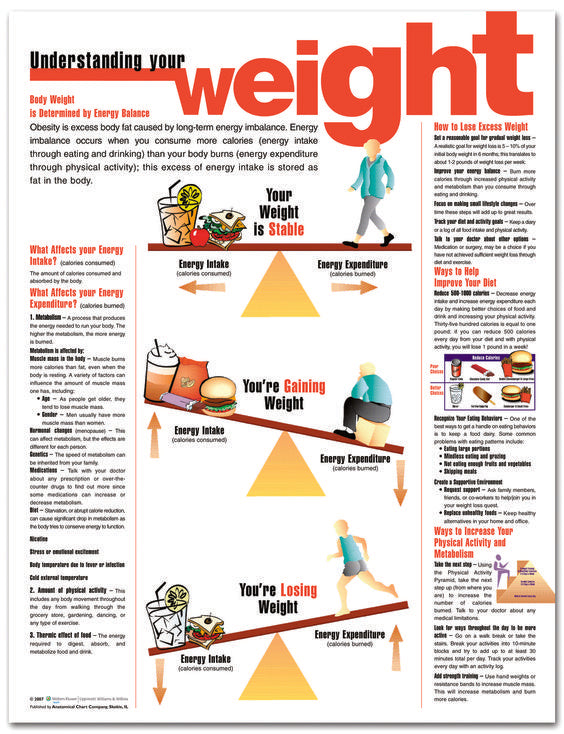 Understanding Your Weight
