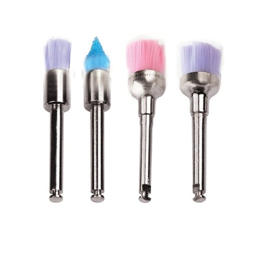 Colorful Prophy Brush