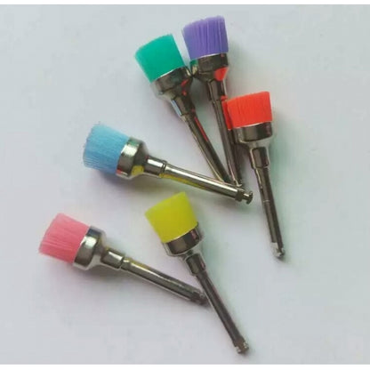 Colorful Prophy Brush 1