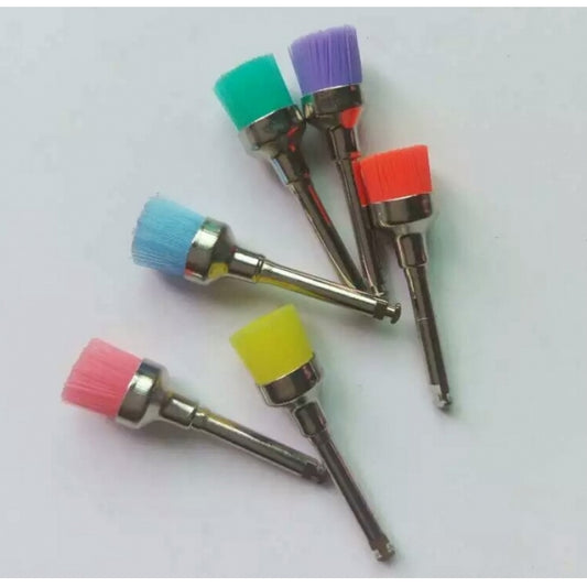 Colorful Prophy Brush 1
