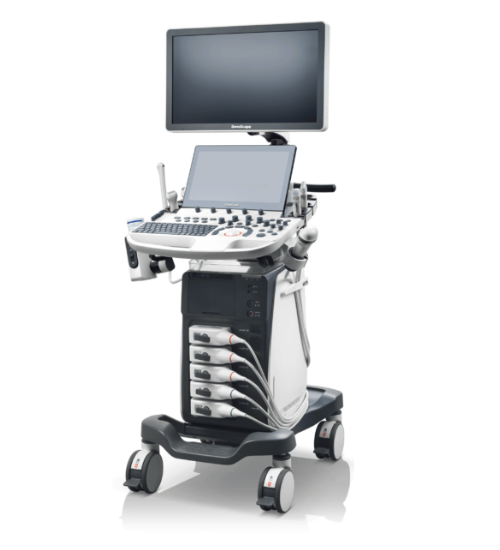 Untitled design (95)