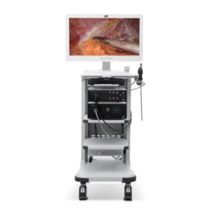 Endoscopy video processor