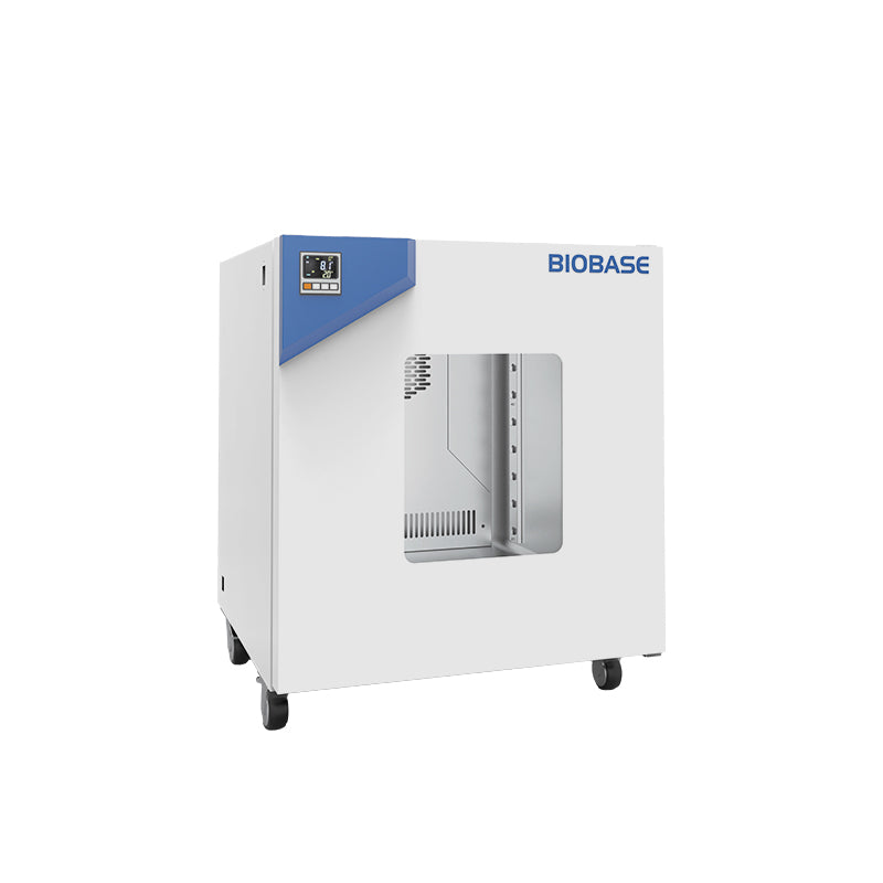 2587-202311221525027259