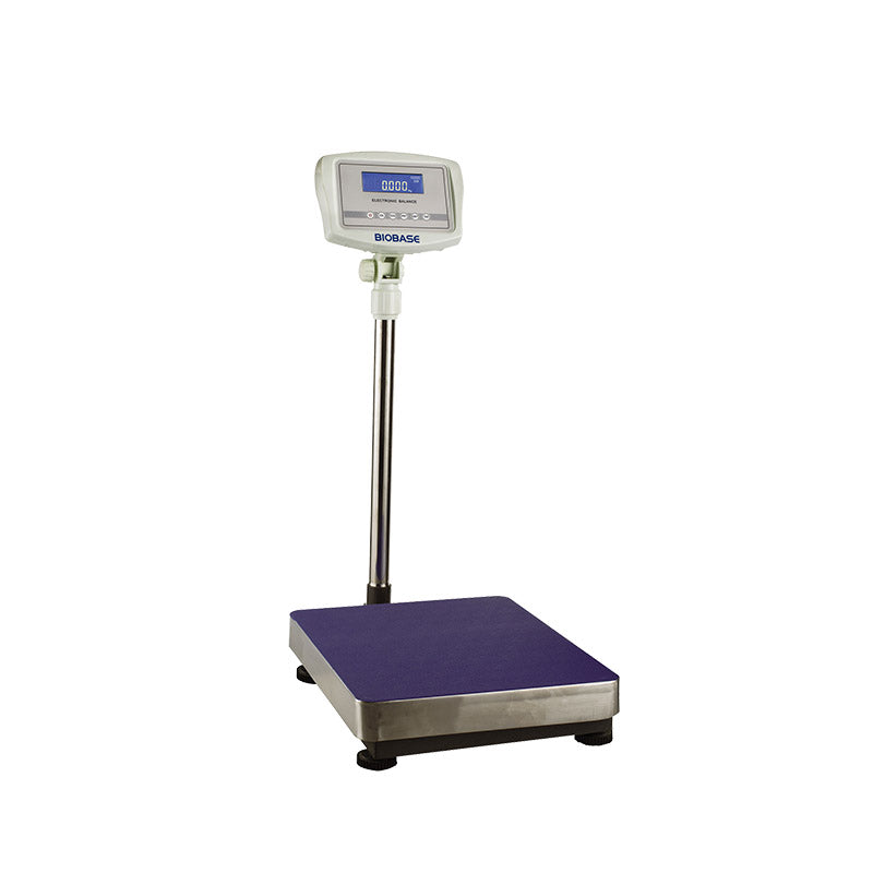 large-scale-electronic-balance_65e615c4ead0b.jpeg