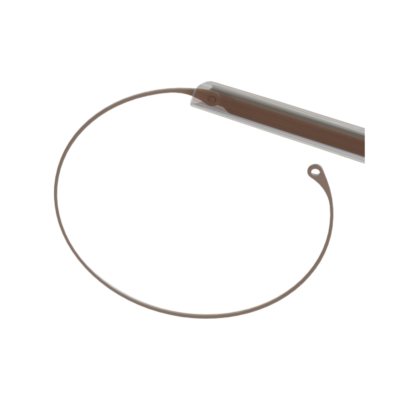 Capsular_Tension_Ring[1]