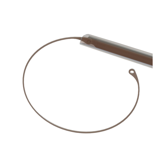 Capsular_Tension_Ring[1]