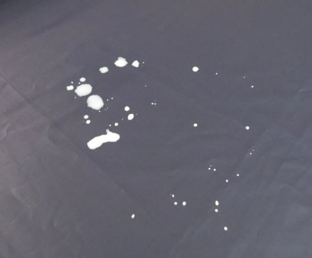 Untitled1-10.png