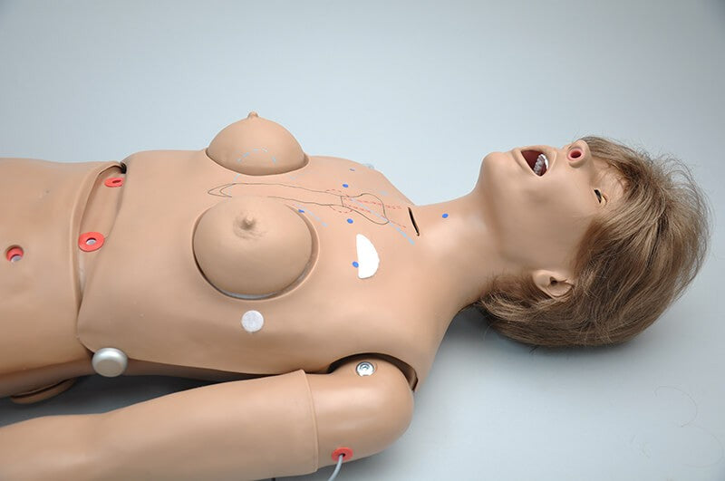 Super Chloe S222.100 – Nursing Care Patient Simulator