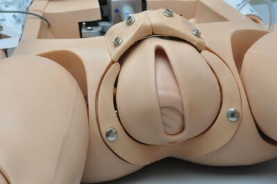 NOELLE S550 – Maternal Care Patient Simulator with OMNI 22