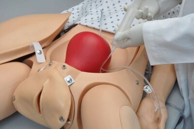 NOELLE S550 – Maternal Care Patient Simulator with OMNI 4