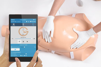 NOELLE S552.250 – Automatic Childbirth Skills Trainer Torso with OMNI 2