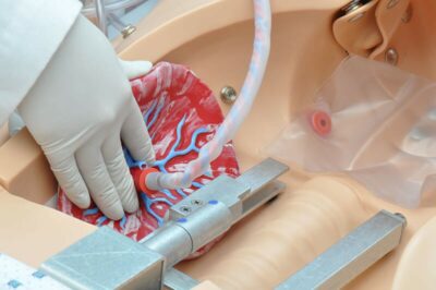 NOELLE® S550.100 – Maternal and Newborn Care Patient Simulator 9