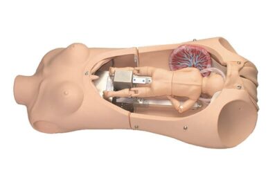 NOELLE® S552 – Automatic Childbirth Skills Trainer Torso with OMNI® 1