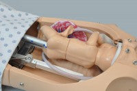 NOELLE® S552 – Automatic Childbirth Skills Trainer Torso with OMNI® 3