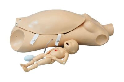 NOELLE® S552 – Automatic Childbirth Skills Trainer Torso with OMNI® 2