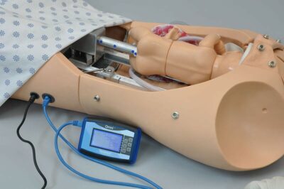 NOELLE® S552 – Automatic Childbirth Skills Trainer Torso with OMNI® 8