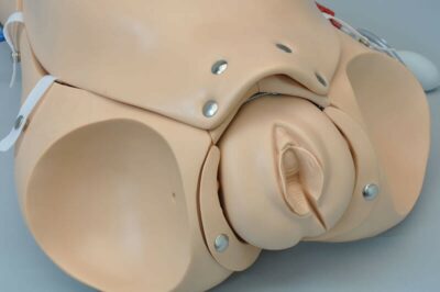 NOELLE® S552 – Automatic Childbirth Skills Trainer Torso with OMNI® 7
