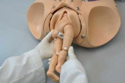 NOELLE® S552 – Automatic Childbirth Skills Trainer Torso with OMNI® 5