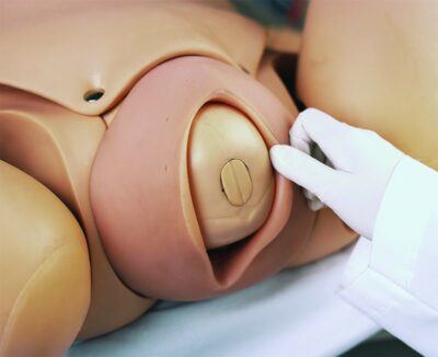 NOELLE® S554.100 – Maternal and Newborn Care Patient Simulator Package 4