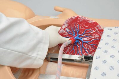 NOELLE® S576.100 – Maternal and Premature Newborn Care Patient Simulator Package 10