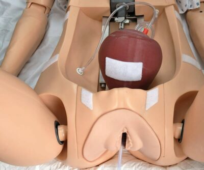 NOELLE® S576.100 – Maternal and Premature Newborn Care Patient Simulator Package 12